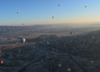 Cholera Status in Austria-Hungary