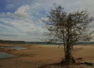 Fire and Neglect in the Ancient Buildings