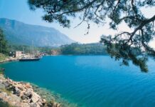 Political Intrigue and the Question of Succession in Serbia