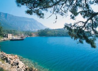 Political Intrigue and the Question of Succession in Serbia