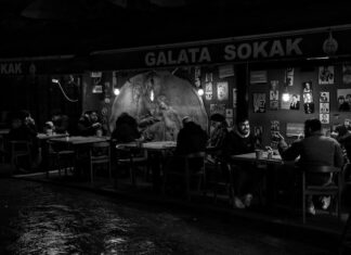 The Importance of the Quicksilver Mines