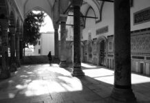 The Rich Quick-Silver Ore